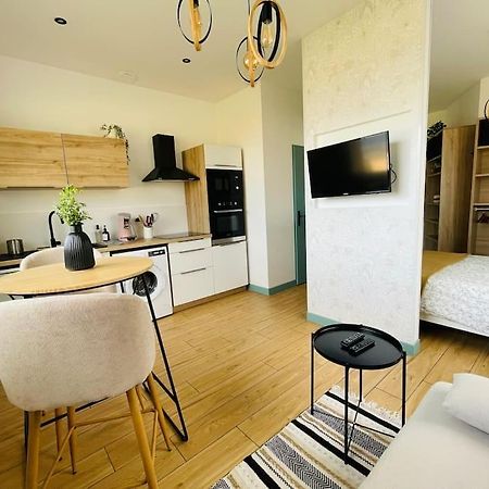 Studio O Terrasses De Virieu Pelussin Екстер'єр фото